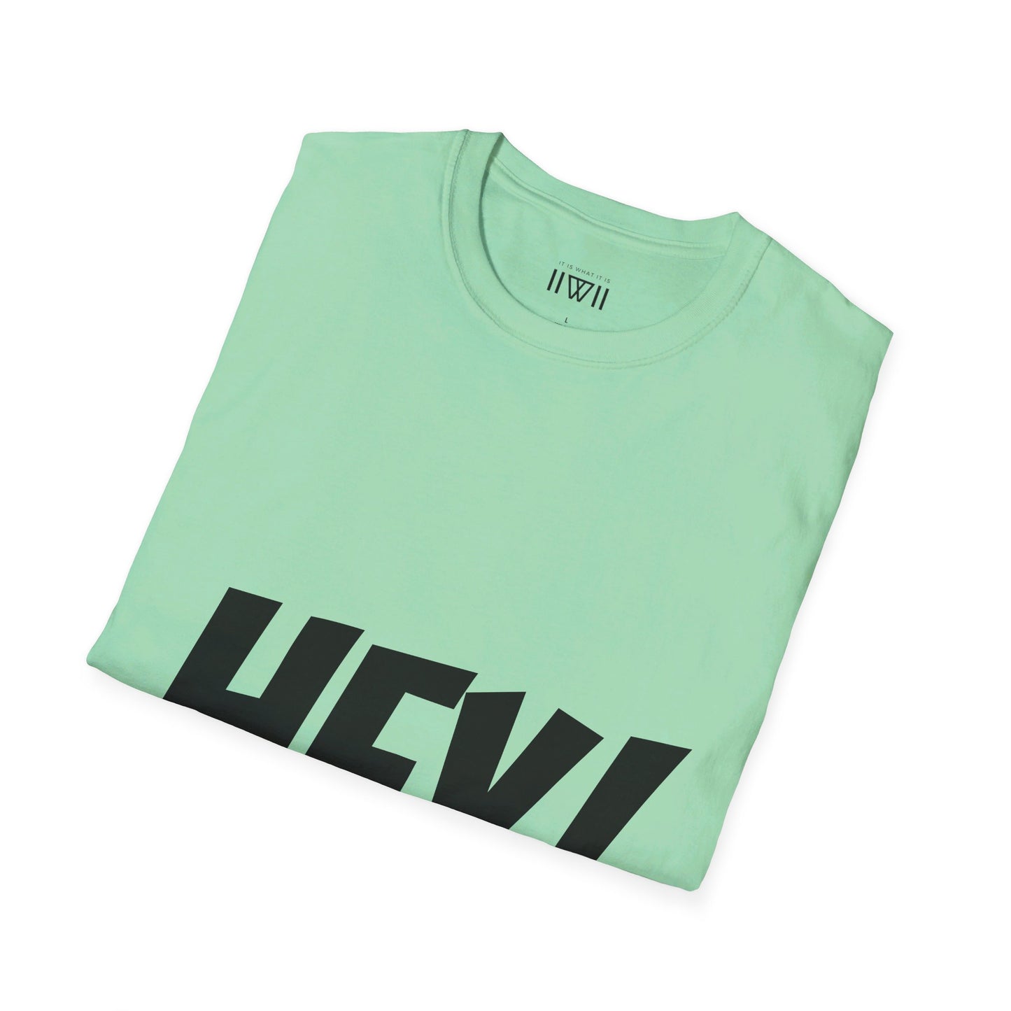 HEY! FUCK YOU! T-Shirt